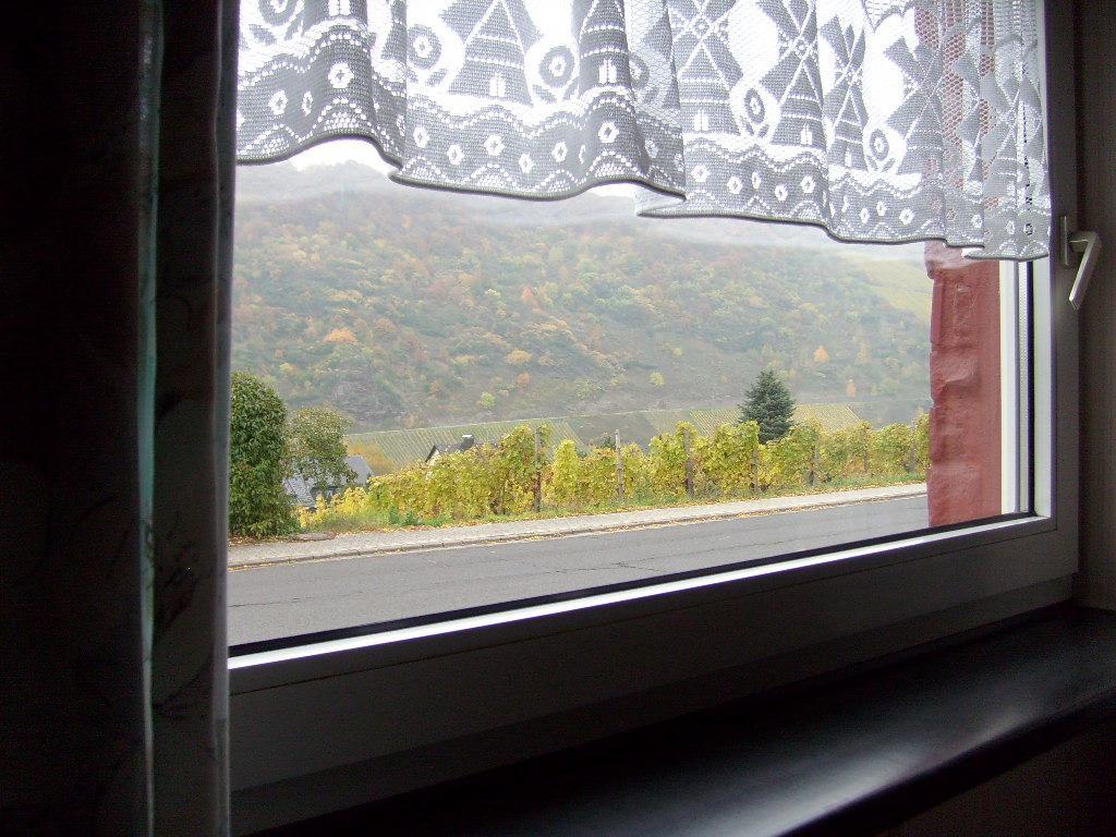 Pension Kroth An Der Mosel Briedel Bagian luar foto